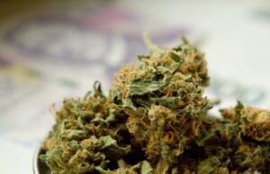 All About CBG and Its Benefits as a Cannabinoid
