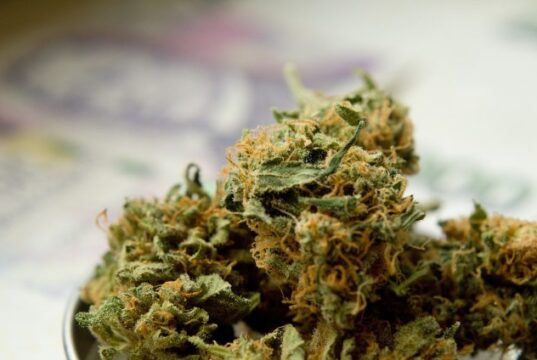 All About CBG and Its Benefits as a Cannabinoid