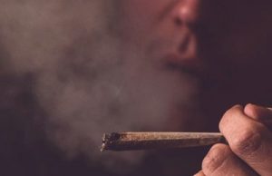 Probe of Missouri’s troubled medical marijuana program may resume