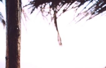 , Home
