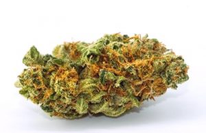 UFC Won’t Punish Fighters For Cannabis Use In Policy Change