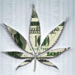 Marijuana Industry Stocks: Many Business Range but One Common Theme