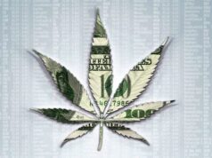 Marijuana Industry Stocks: Many Business Range but One Common Theme