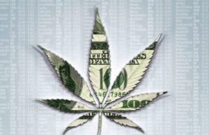 Marijuana Industry Stocks: Many Business Range but One Common Theme Marijuana Industry Stocks: Many Business Range but One Common Theme