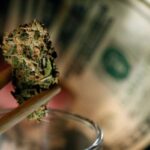 Here’s a Tip for New Marijuana Business Investors – Avoid Big Firms