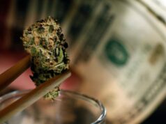 Here’s a Tip for New Marijuana Business Investors – Avoid Big Firms