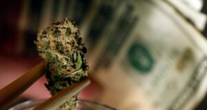 Here’s a Tip for New Marijuana Business Investors – Avoid Big Firms