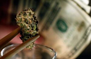 Here’s a Tip for New Marijuana Business Investors – Avoid Big Firms