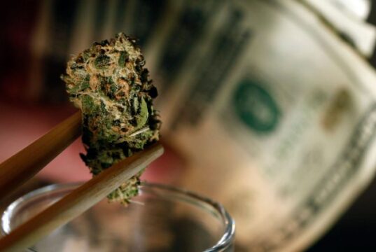 Here’s a Tip for New Marijuana Business Investors – Avoid Big Firms