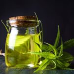 How CBD Beverages are taking on the Market?