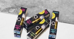 Glo Extracts Review Cannabis Oil Cartridges are Lab Tested and Safe