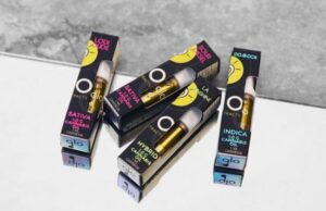 Glo Extracts Review Cannabis Oil Cartridges are Lab Tested and Safe