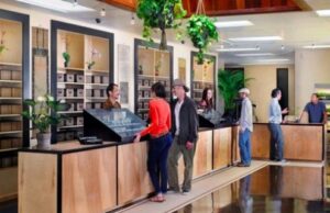 Significance of Recreational Dispensaries to Avail Purest Marijuana Stuff