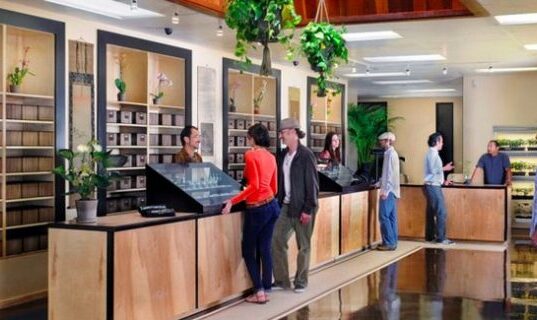 Significance of Recreational Dispensaries to Avail Purest Marijuana Stuff